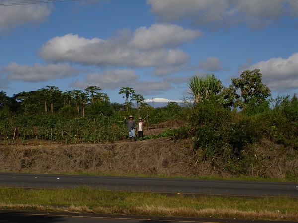 Aloha Farmers