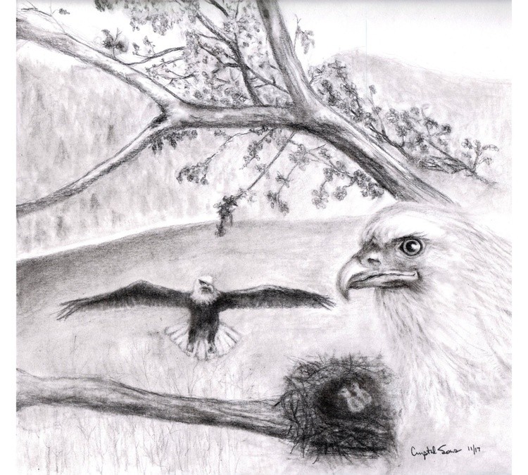 Dale Hollow Eagles