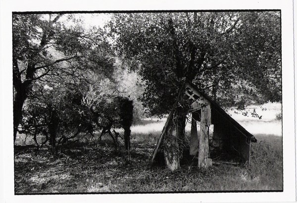 Shanty Town 
