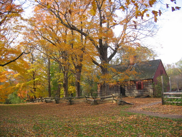 Fall at Jockey Hollow
