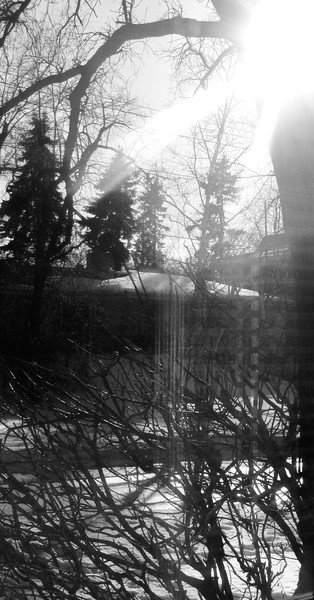 Looking Glass