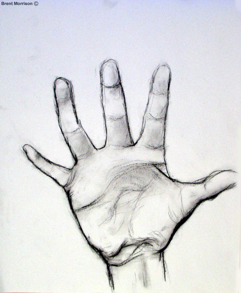 Open Hand