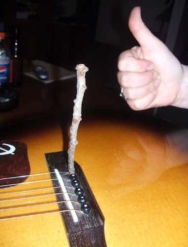 Redneck Guitar Peg