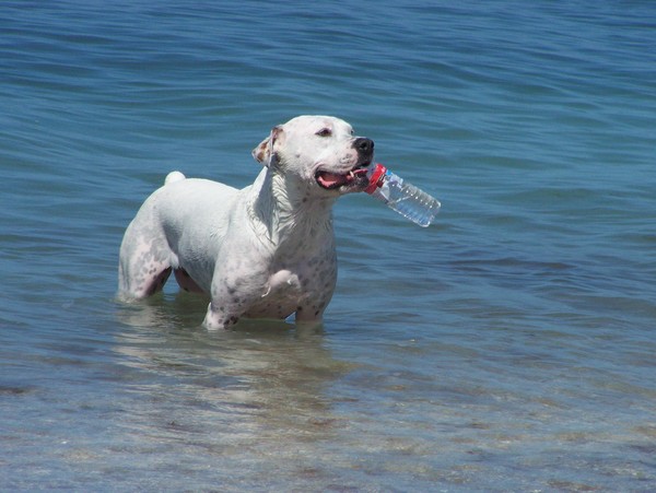 Got Water