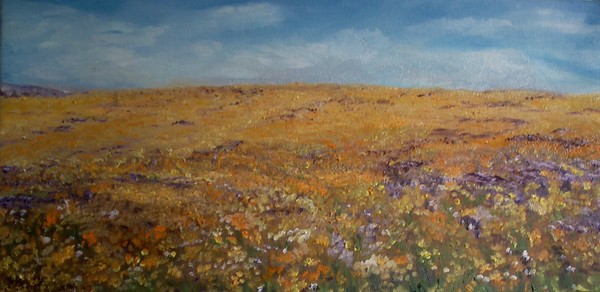 ALENTEJO IN SPRING