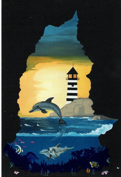 Dolphin Cove