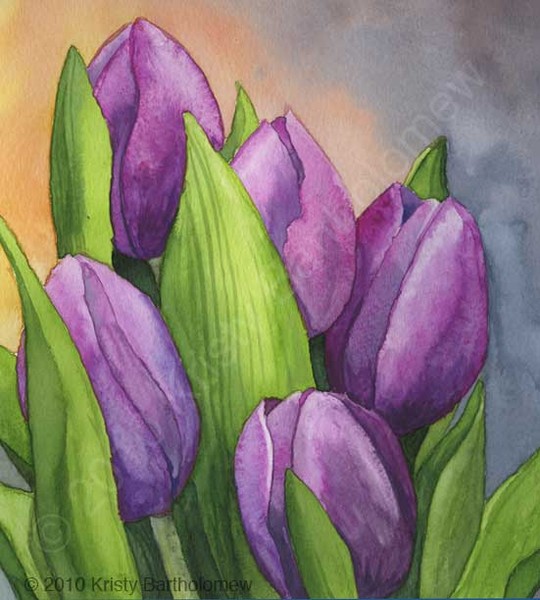 Tulips