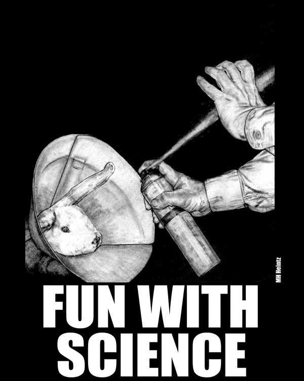 Fun with Science 3