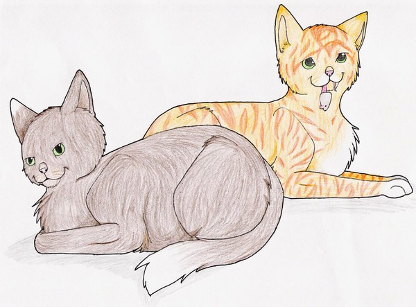 Blaze and a Brown Cat