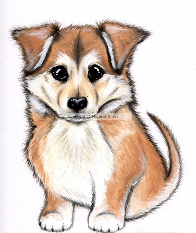 ZuZu Puppy