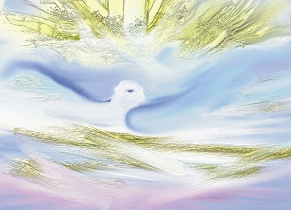 Bird of Pheonix