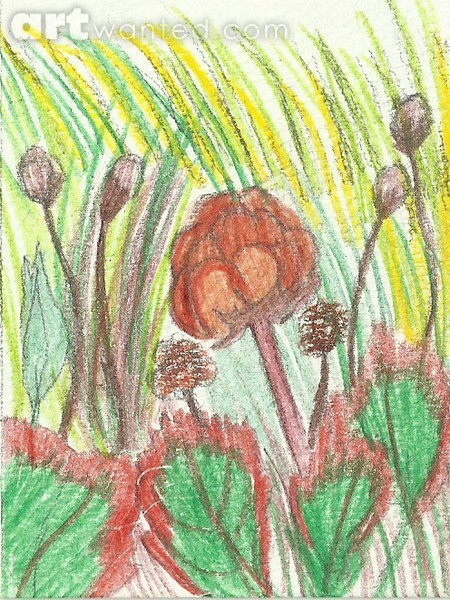 Berry fields ACEO