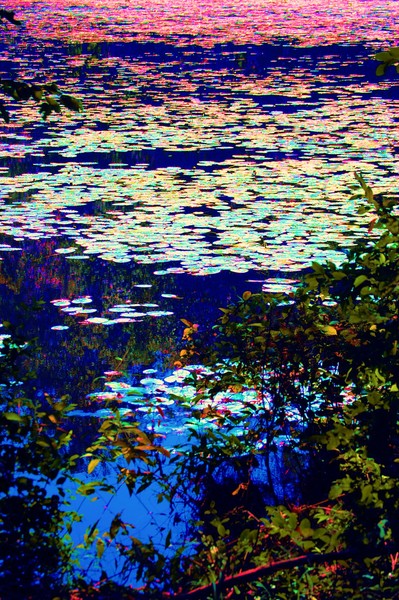 L'EAU