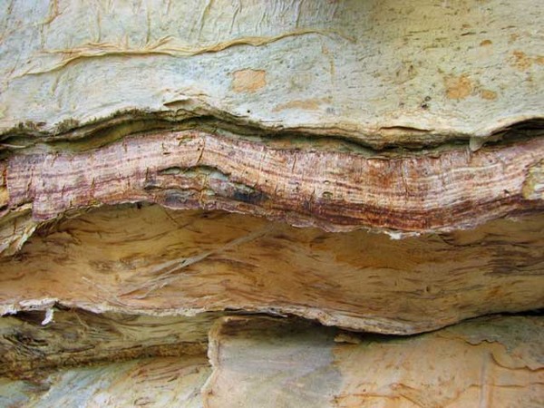 Terrains of Time