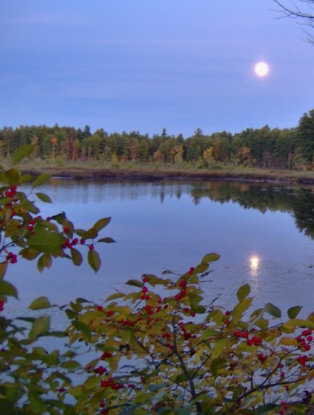 Fall Moon