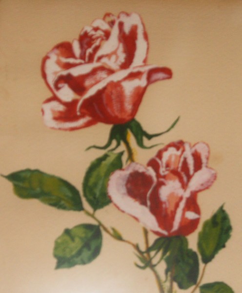 Two Red Roses