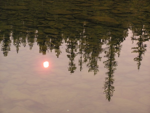 Upside Down Picture