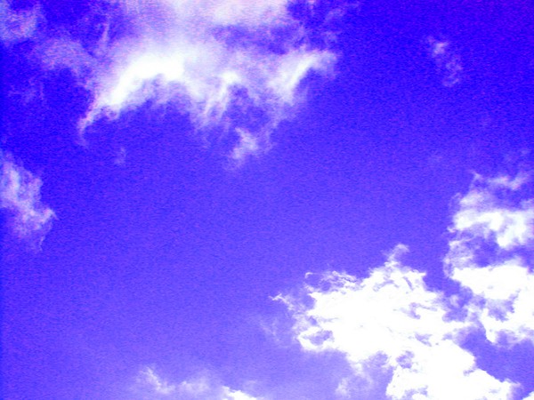 WHAT DO YOU SEE ?