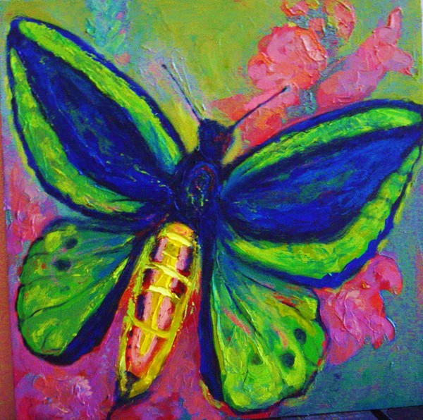 pallete butterfly