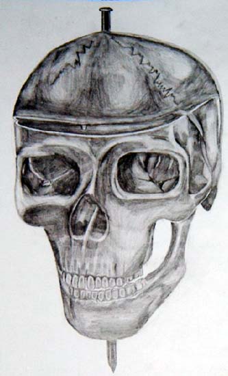 Skull