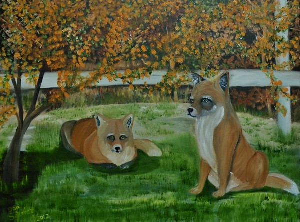 Pair of Red Foxes at Beach in New Jersey