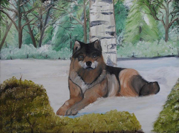 Wolf in front of Birch Tree