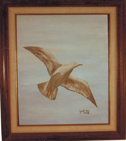 Seagull