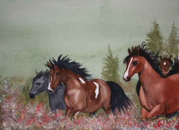 Meadow Run