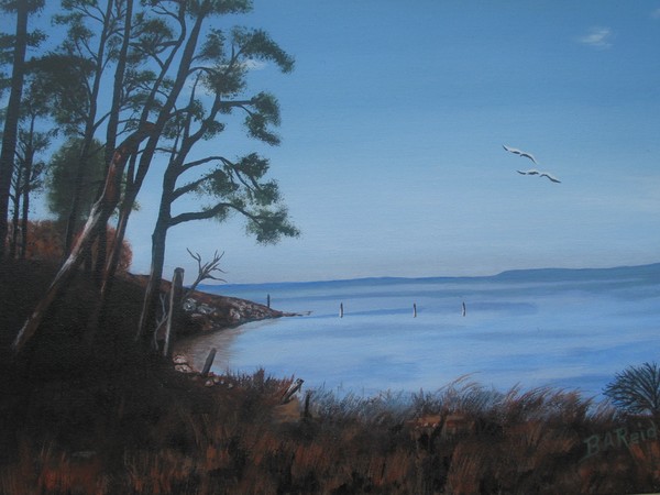 View from the Shore of the Rappahannock River