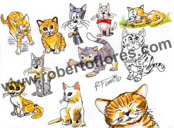 Cats!