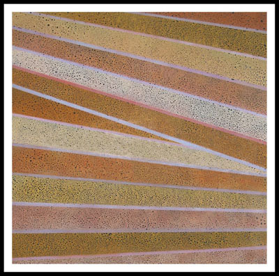 Harvest Terrazzo