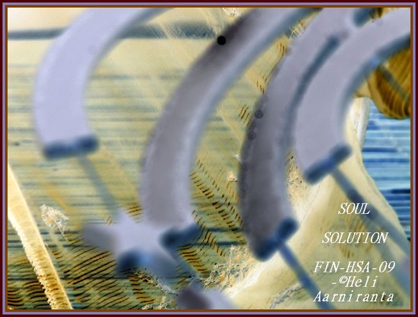 Soulsolution(series)