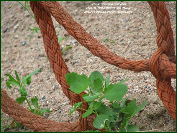 ..tied together..