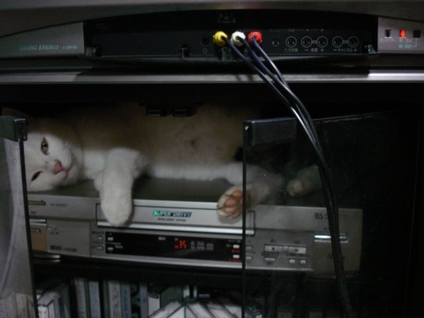 Hide-and-seek