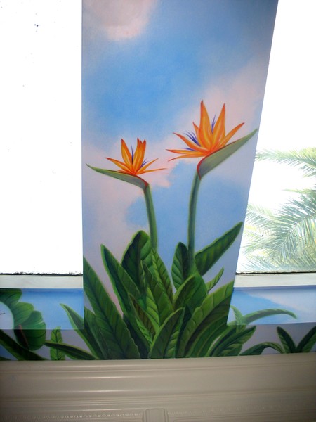 Birds of Paradise