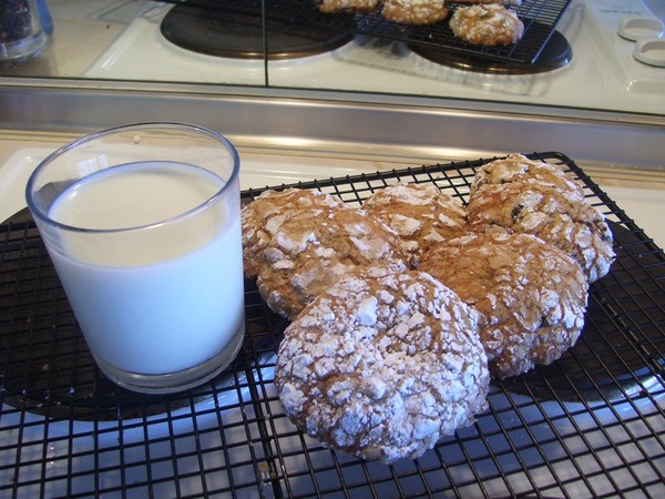 Got Milk & Cookies!!!!