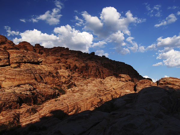 Desert Landscape