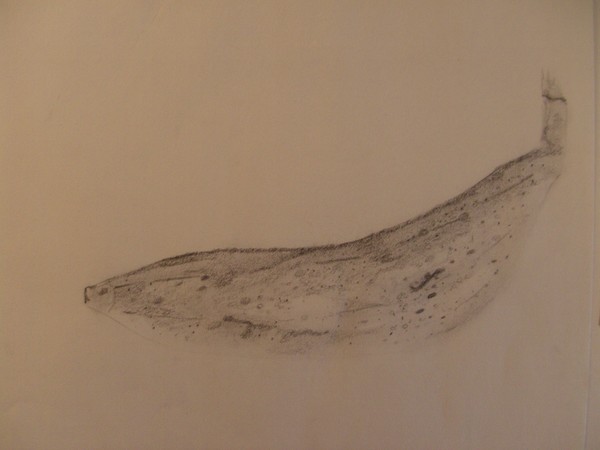Shading of Bannana