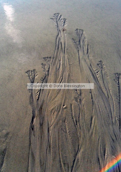 Tidal Art carved in beach