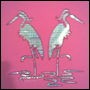 birds by gillian dobbie
