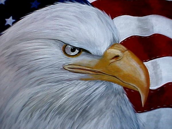USA Eagle