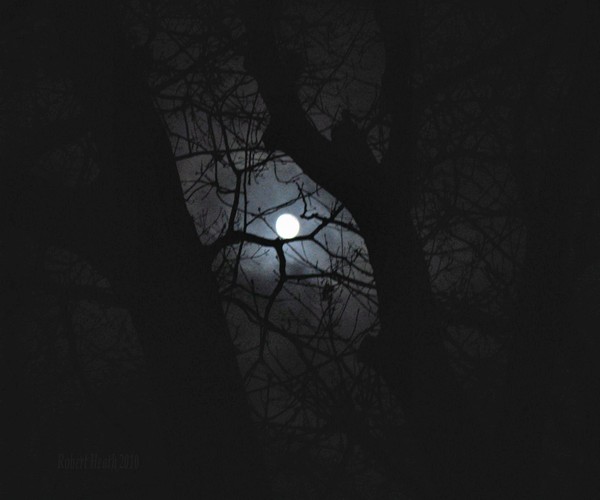 Mid Winters Night Dream