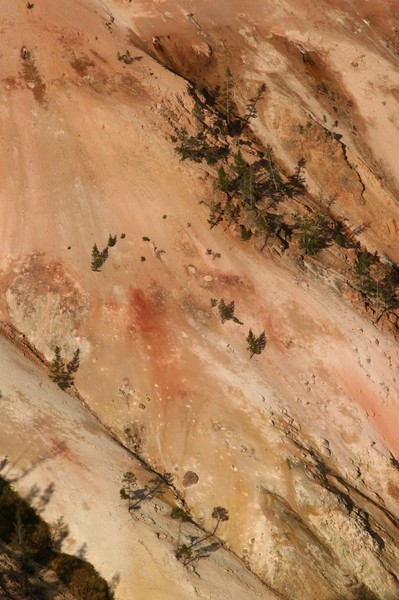 a wall of canyon
