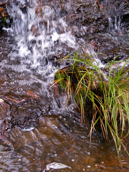 Flow