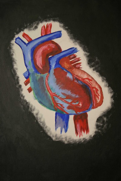Heart