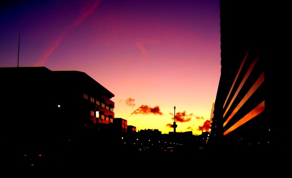 Into the night