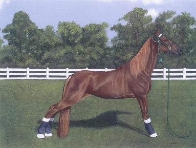 Second Place Winner