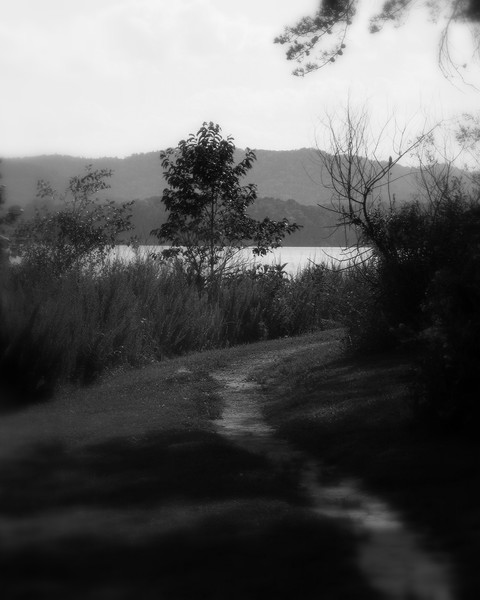 Path