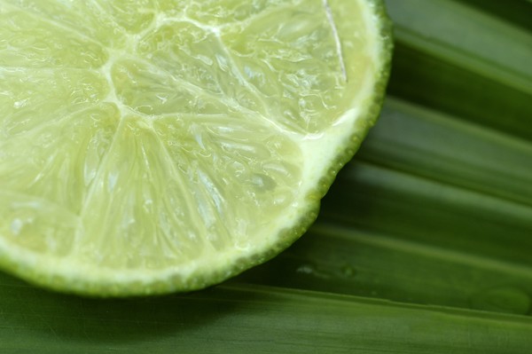 Lemon Leaf