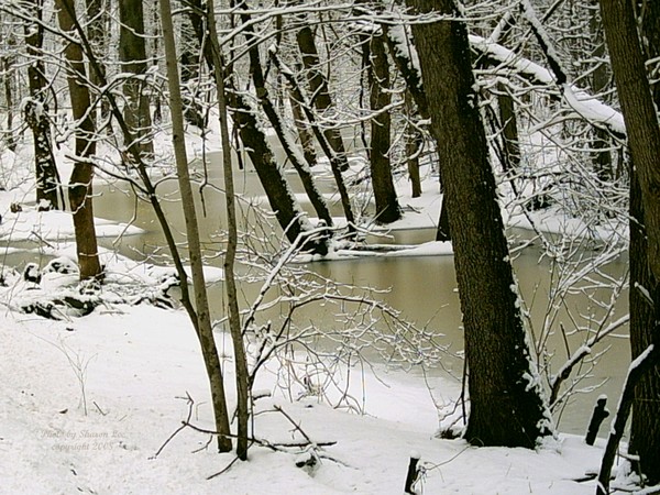 Chapman Road 2